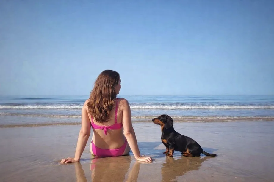 Playa para perros de Torre del Mar (Málaga): una de las mejores playas caninas de España