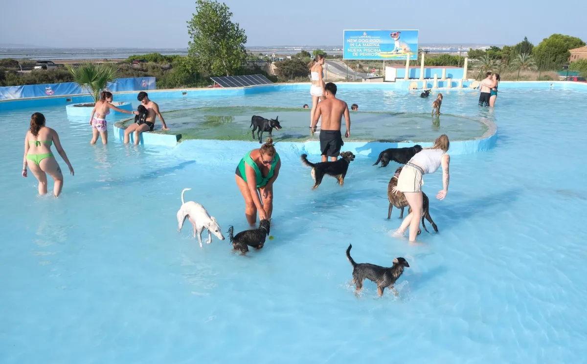 Worldog Experience: Piscina y Adiestramiento Canino