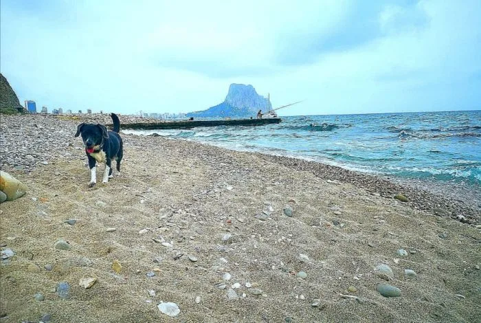 Cala Les Urques (Calpe)