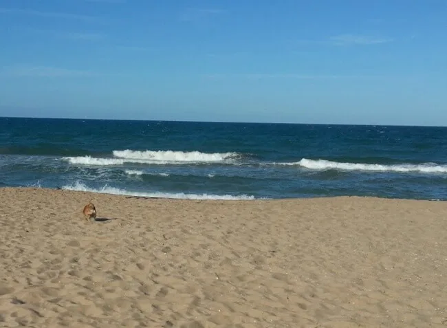 Playa El Brosquil (Cullera)