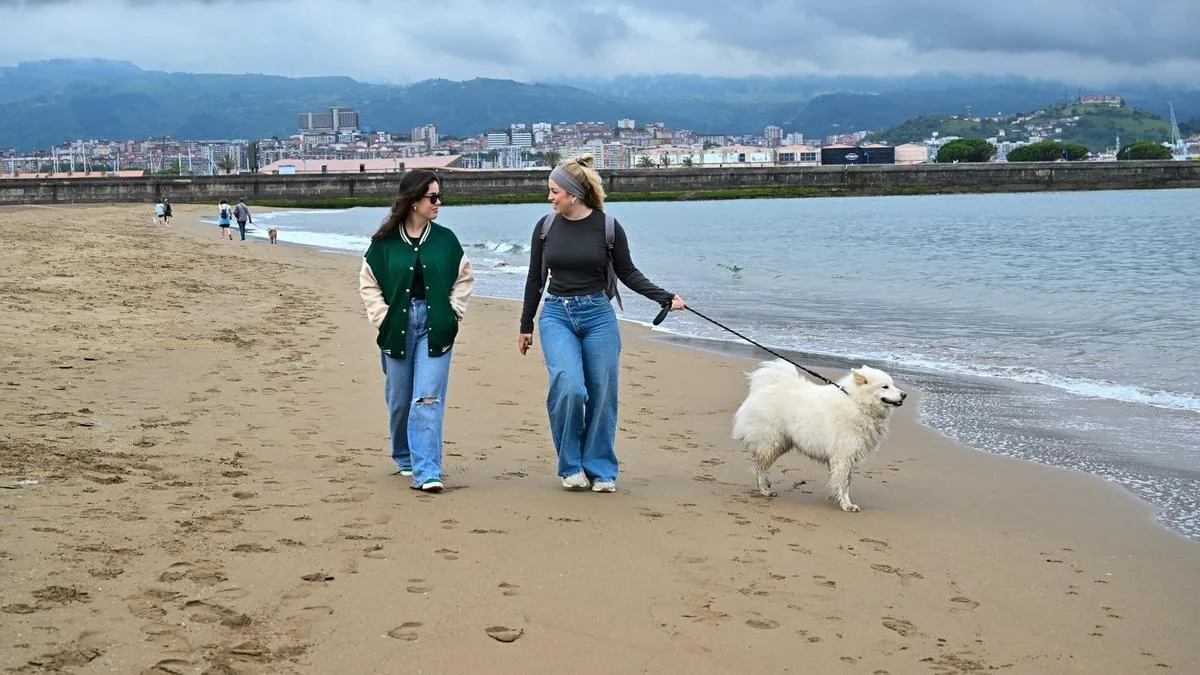 Playa de Arrigunaga (Getxo)