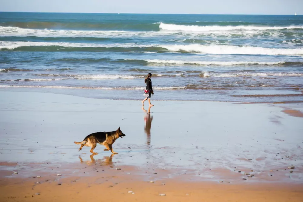 Playa de la Arena (Zierbena/Muskiz)