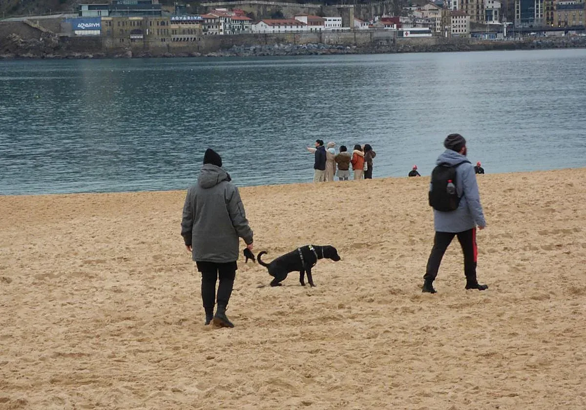 Playa de Ondarreta (San Sebastián)