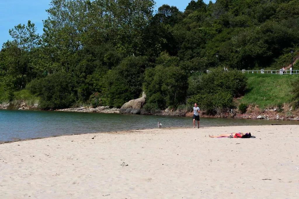 Playa de la Maza (Playa de los Perros)