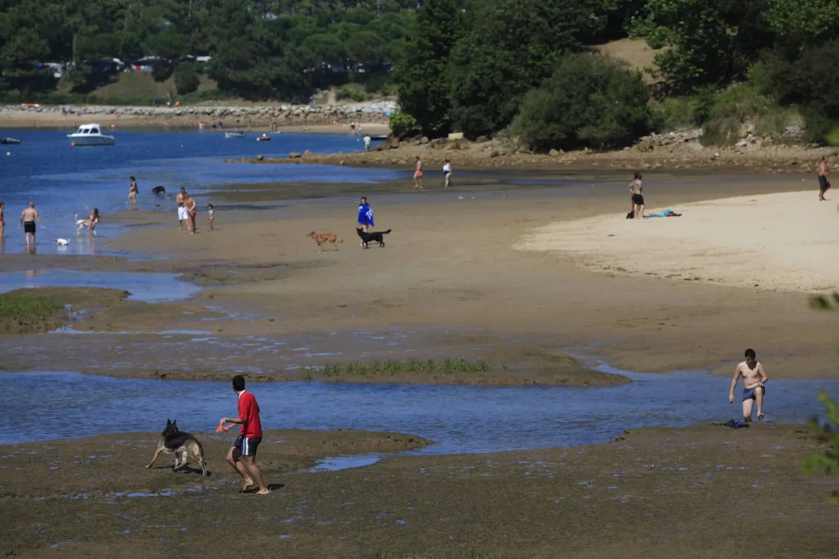 Playa de Oriñón (Zona Canina)
