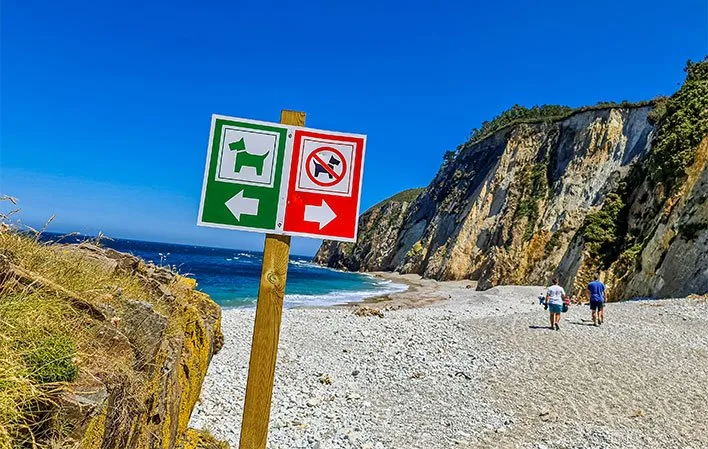 Playa de Quintana (Pluminero)