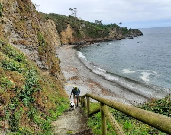 Playa de Cambaredo