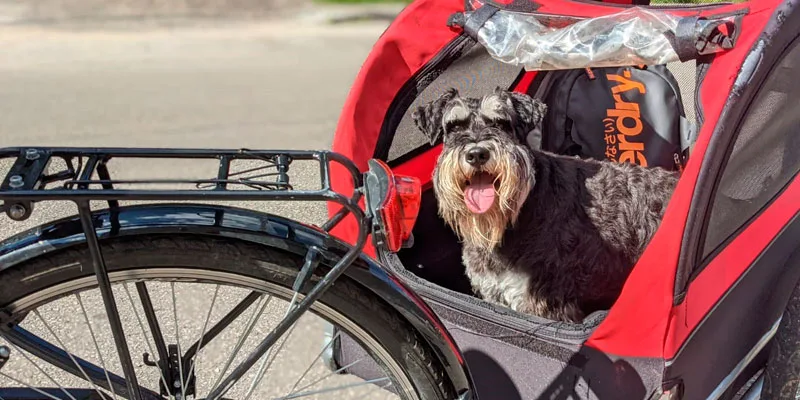 Senda del Oso en Bicicleta para perros (Valles del Oso)