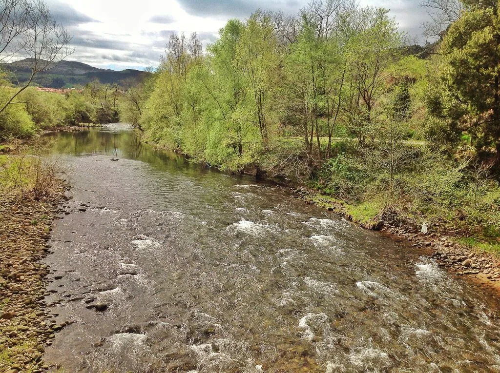 Piscinas Naturales y Parque de la Viesca