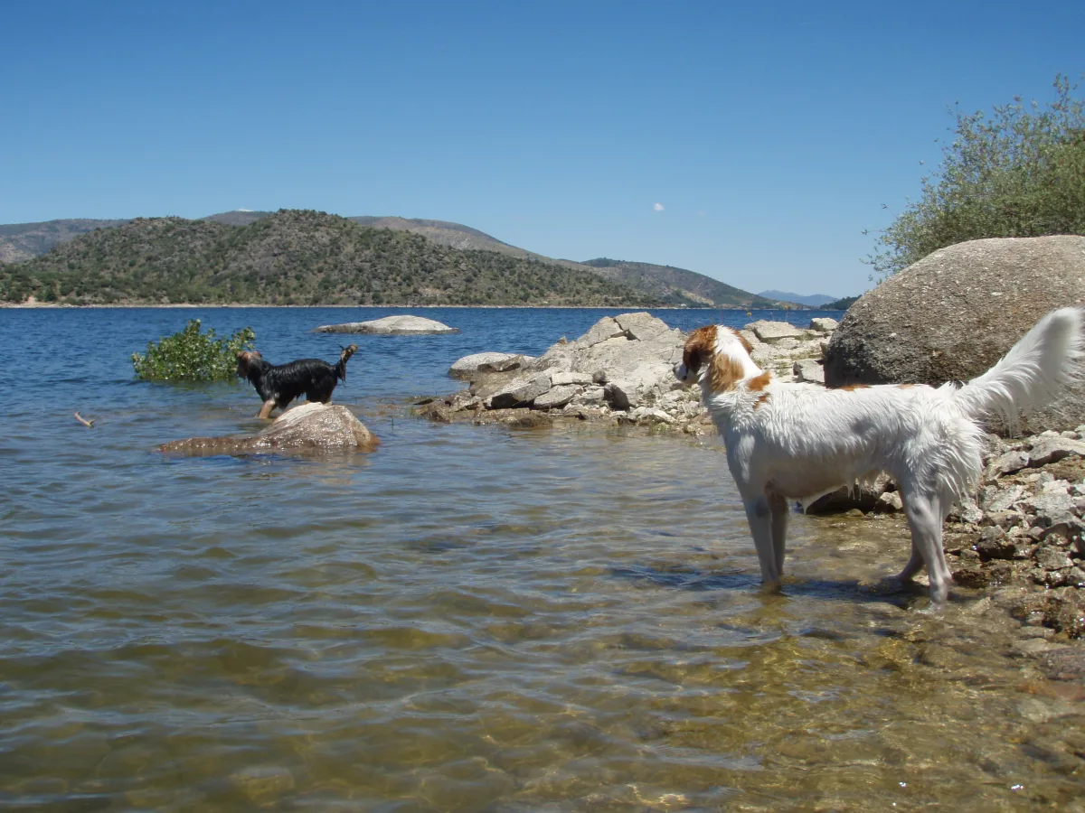 Orillas del Embalse del Burguillo