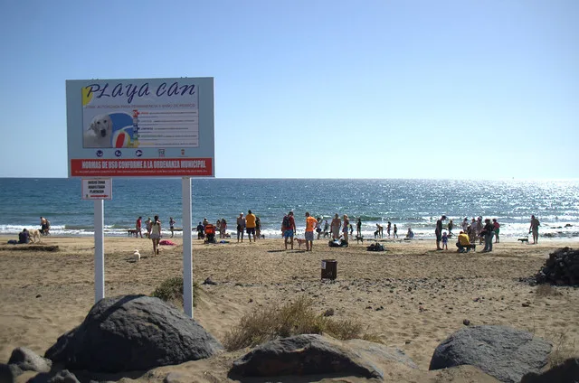 Playa de Guacimeta (Zona Canina de Playa Honda)