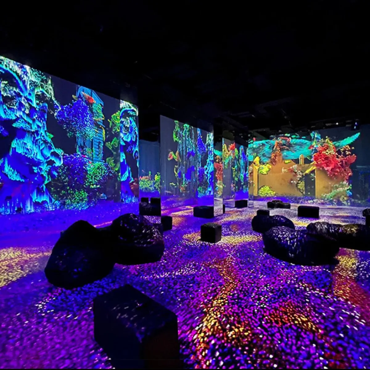 Nomad Museo Inmersivo