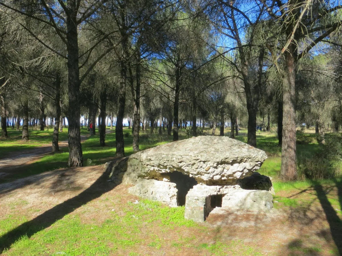 Dehesa de Navalcarbón