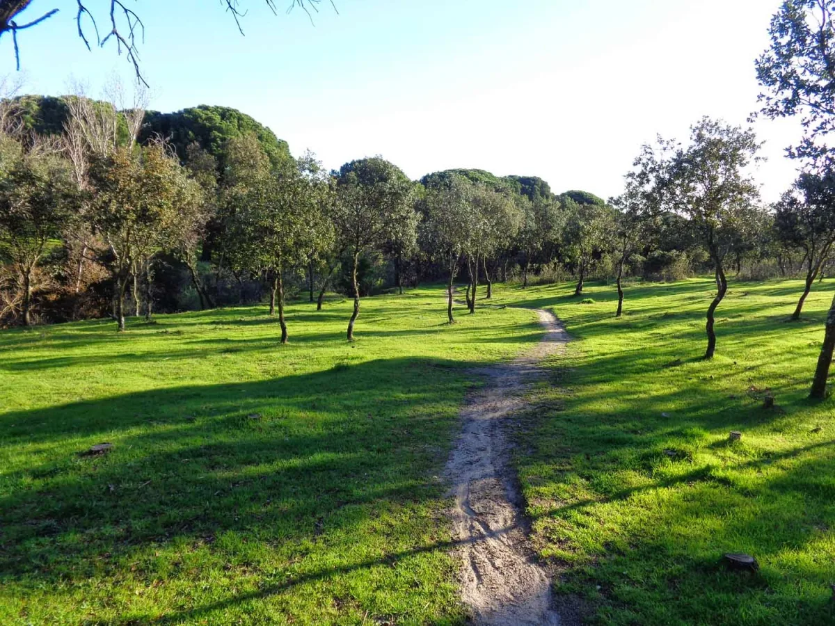 Dehesa Boyal de San Sebastián de los Reyes