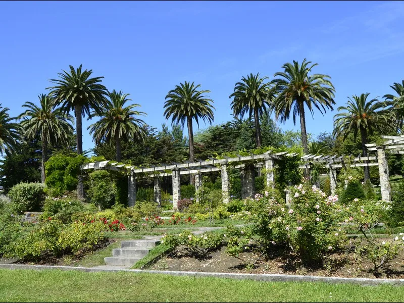 Parque de Mataleñas