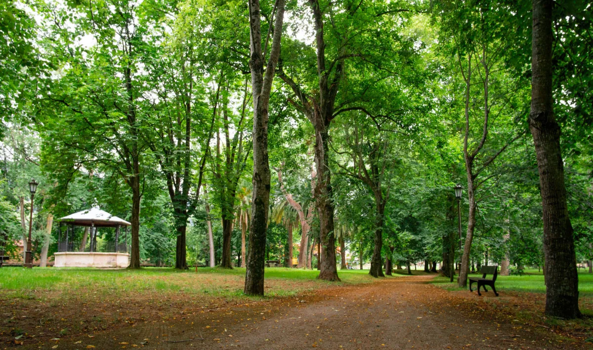 Parque de Alceda