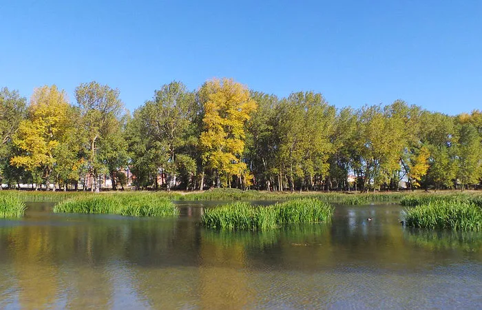 Parque de Fuentes Blancas