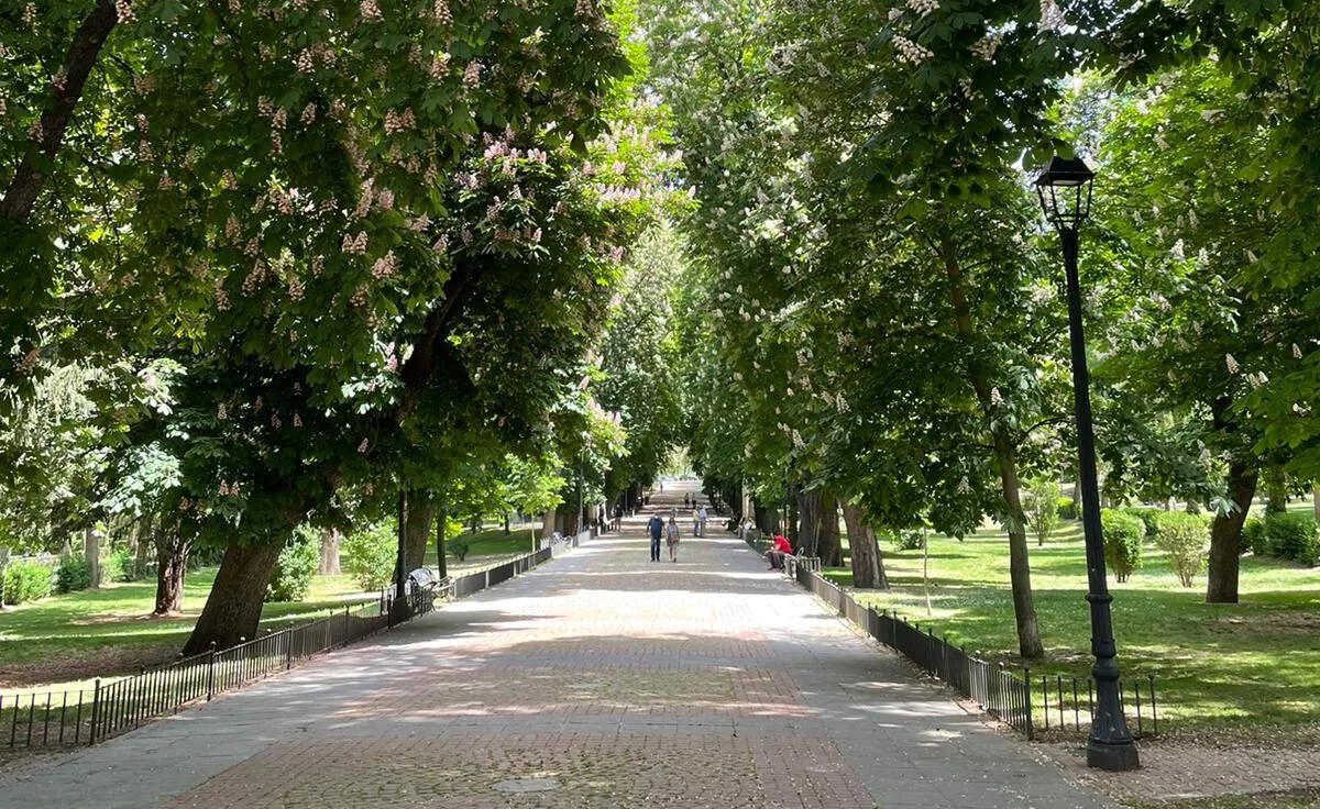 Parque de San Antonio