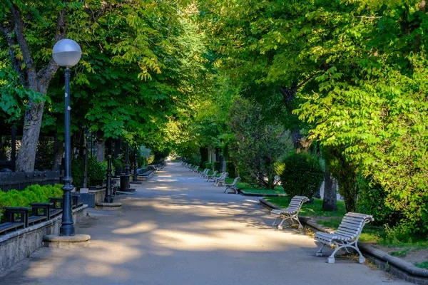 Alameda de Cervantes (La Dehesa)